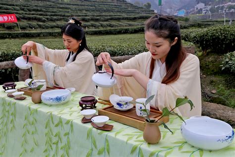 龙胜县：举办古树茶文化节 展示“飞天采茶” - 广西县域经济网