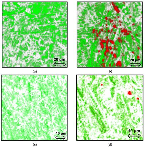 Development of Electrochemical Aptasensor for Lung Cancer Diagnostics ...
