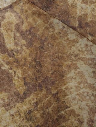 Mango Carola Snake Print Top, Multi