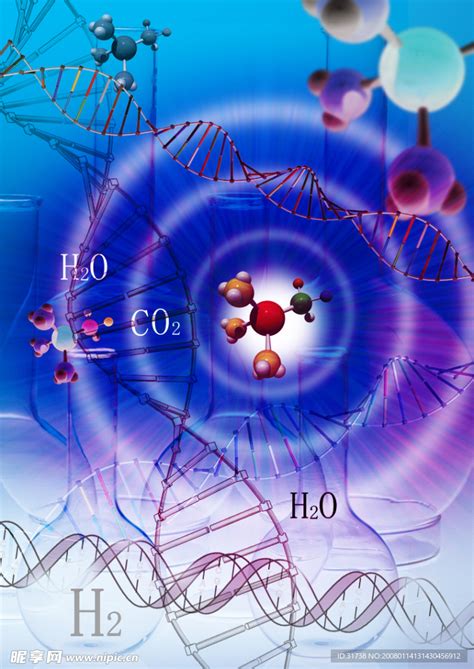 水分子 的图像结果