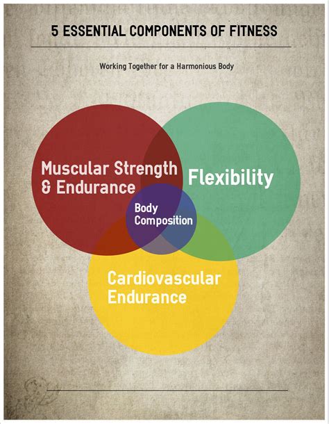 5 Essential Components of Fitness - Fitness Proaction