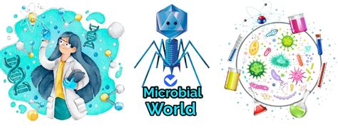 Biotechnology Projects 的图像结果