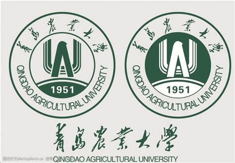 青岛大学标志logo图片-诗宸标志设计