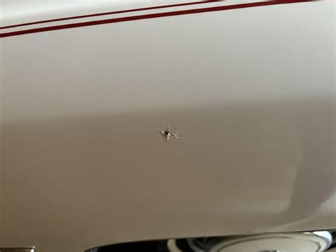 Image result for Body Work Rust