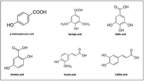 Ecological Function of Phenolic Compounds from Mediterranean Fucoid ...