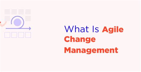 Agile Change Process 的图像结果
