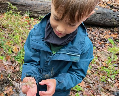 Classroom Kids 的图像结果