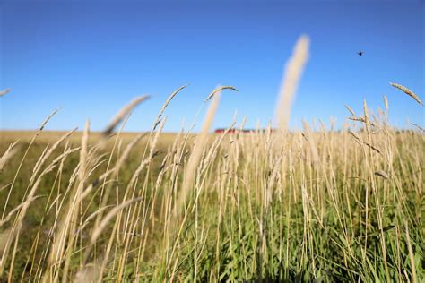 Cochrane Fall Fair, 385 First Avenue, Cochrane, ON, Canada, Ontario ...