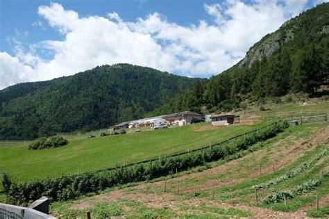 Una giornata in fattoria - UnserTirol24