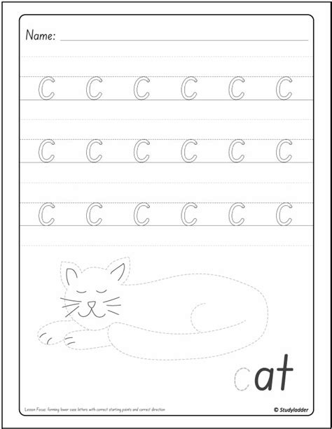 Image result for C Program Fpr Alphabet Case Changing