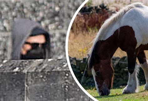 Former Dover Mayor Neil Rix sickened as man convicted of having sex ...