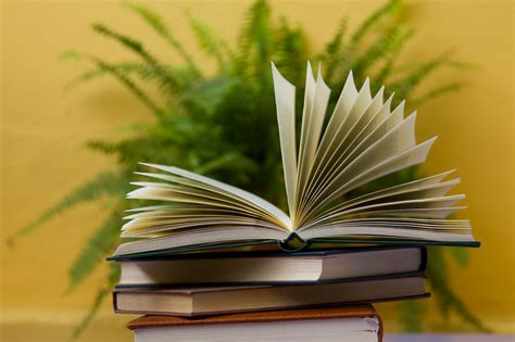 Image result for Book Report Introduction Examples