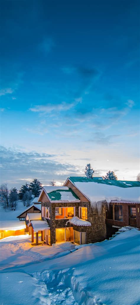 Book Domestic and International Flights at Lowest Airfare