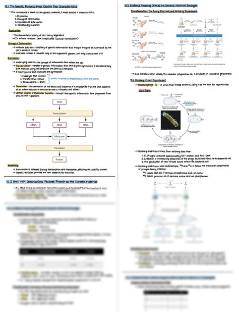SOLUTION: Chapter 10 dna structure and analysis - Studypool