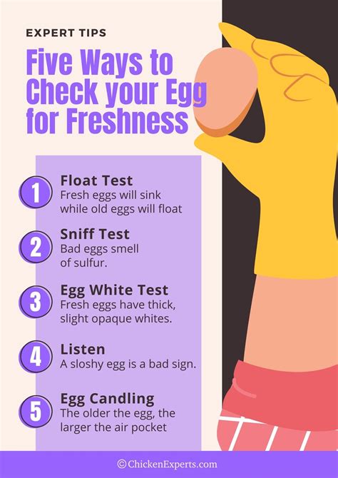5 Fresh Egg 🥚 Tests You Can Do Right Now! Ditch The Doubt! - chickenexperts