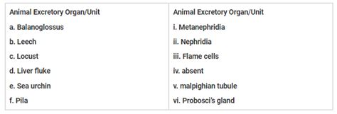 Excretory organs of different animals are given below.
