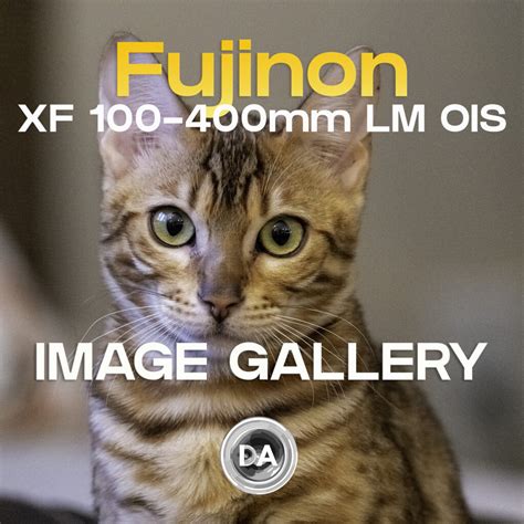 Fujinon XF 100-400mm F4.5-5.6 OIS Image Gallery - DustinAbbott.net