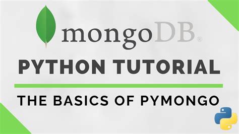 Pymongo Tutorial 的图像结果