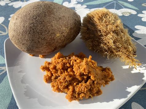 Sansapote Live Plant (Licania platypus): A Rare and Historic Tropical ...