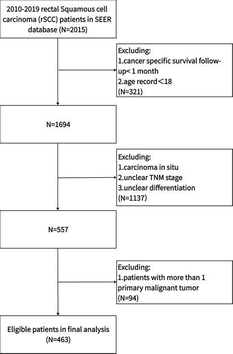 Frontiers | Treatment paradigm and prognostic factor analyses of rectal squamous cell carcinoma