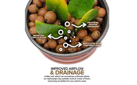 City Greens Fly-Ash/Leca Hydrotons for Hydroponics, Aquaponics, Soil ...
