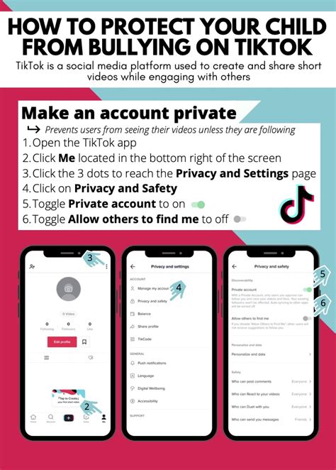 TikTok Safety Infographic – Dawson Willis