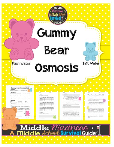 What Is Osmosis In Gummy Bears at William Moser blog
