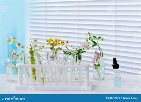 Sample of Plants for Analysis in University Laboratory, Studies Plant Dna, Concept Science ...