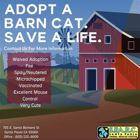 Santa Paula Animal Rescue Center | 🐾 Seeking a cozy barn home for our ...