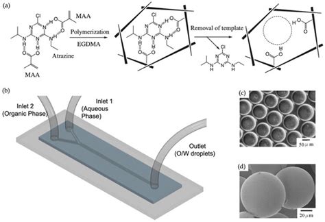 Molecularly Imprinted Polymeric Particles Created Using Droplet-Based ...