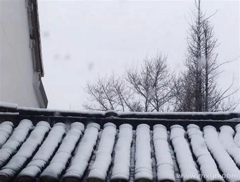 下雪天，如何拍出雪花飞舞的动感？6种拍摄技法拍出动感落雪照片 - 哔哩哔哩