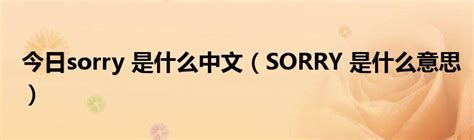 今日sorry 是什么中文（SORRY 是什么意思）_草根科学网