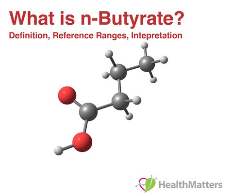 What Is Butyrate