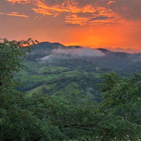 FINCA COTINGA AZUL (Naranjal) - Lodging Reviews & Photos - Tripadvisor