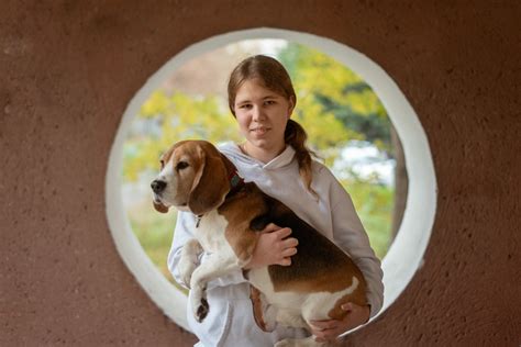 Unconditional Love: How Dogs Are Healing the Hearts of Children in ...