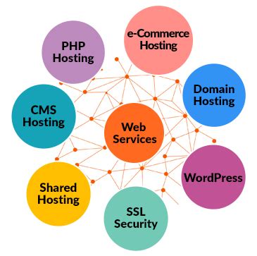 India's Best Website Hosting Company & Domain Hosting Provider