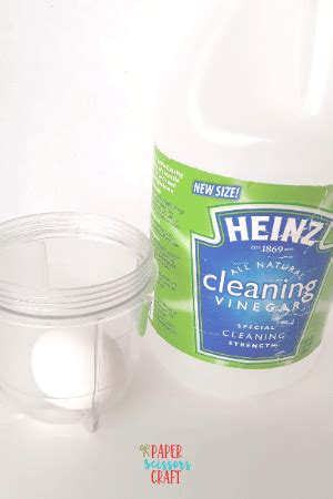 Image result for Different Science Experiments