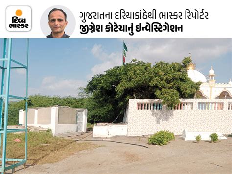 DvB Original News in Gujarati, ડીબી ઓરિજિનલ સમાચાર, Latest DvB Original ...