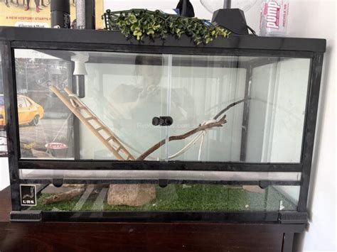 Spotted Python Enclosure 的图像结果