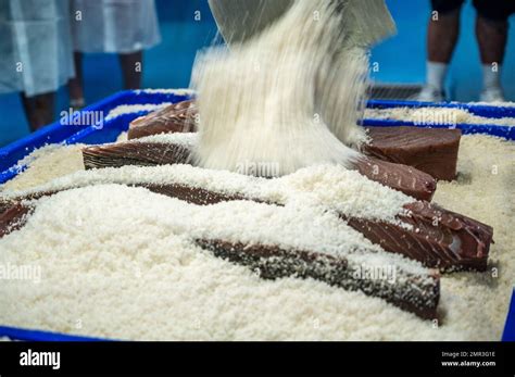 Image result for Fish processing Fish Canning Process