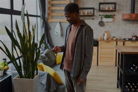 Reliant Property Management