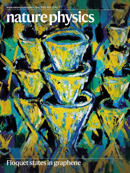 Nature Physics 的图像结果