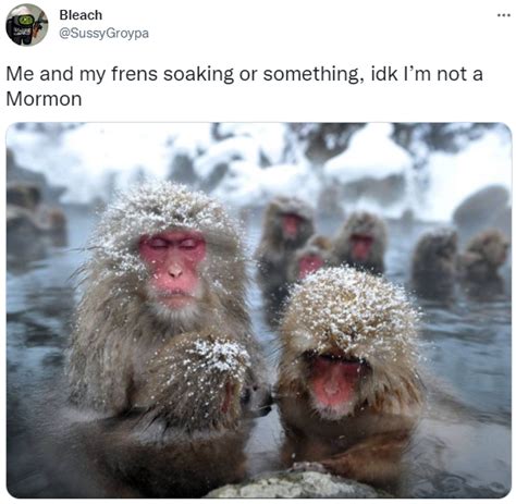 Mormon Soaking / Jump Humping | Know Your Meme