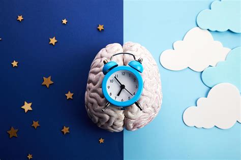 How Do Circadian Rhythms Work? New Research Sheds Light