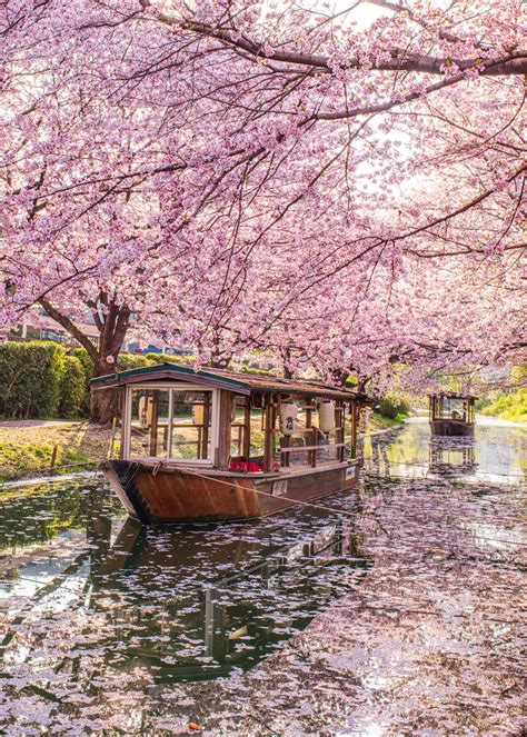 most Instagrammable places in Kyoto | Tokyo japan travel, Kyoto ...