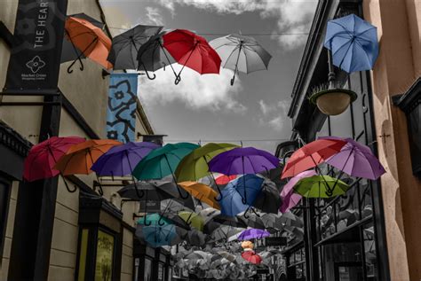 Image result for Colorization Demos