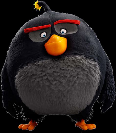 Image result for Black Angry Bird Exploding