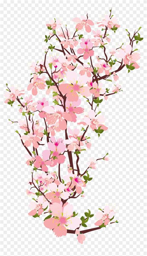 Blossom Clipart Japanese Cherry Blossom - Cherry Blossom Clipart ...