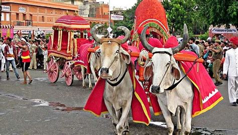 25 Popular Festivals of Rajasthan To See In 2025