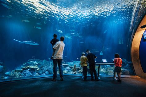 Fun Activities for Families in Chicago | Choose Chicago